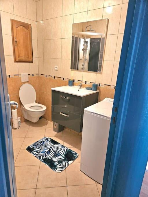 Spacieux Et Charmant Appartement De 47 M2 Charleville-Mezieres Exterior foto